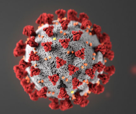 Debunking Coronavirus Myths